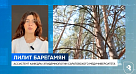 Осторожно, клещи: ассистент кафедры эпидемиологии СГМУ рассказала о рисках заражения энцефалитом